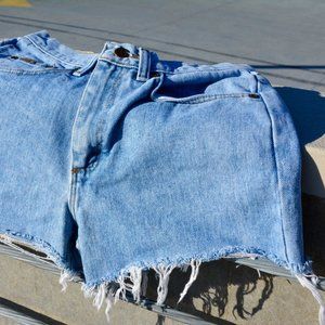 Cutoff Denim Shorts